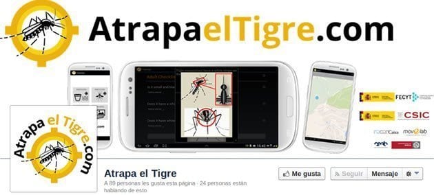 mosquito-tigre-facebook