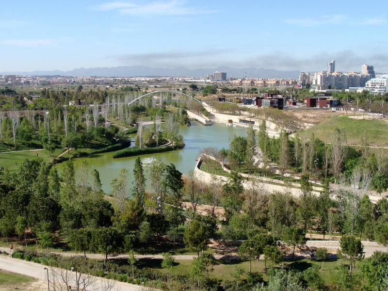 plaga de pulgas y mosquitos