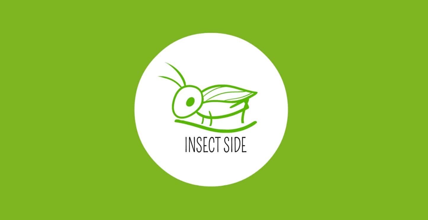Insect Side