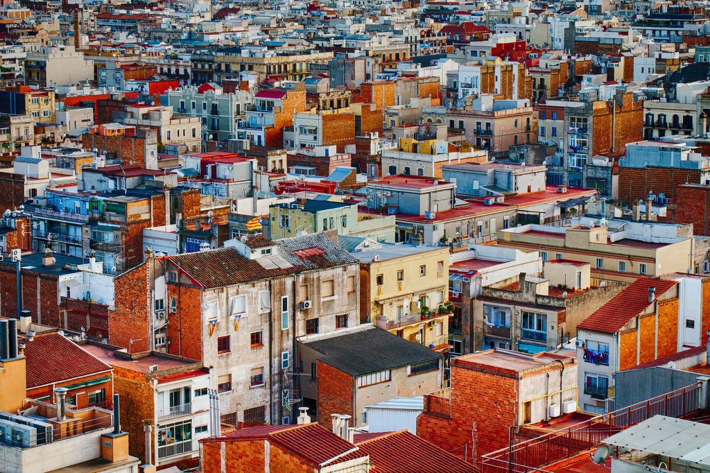 plagas ciudad