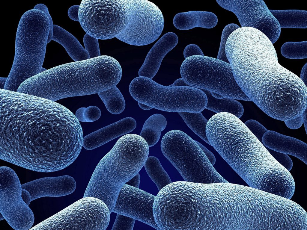 Apuestan por un mayor control de la Legionella