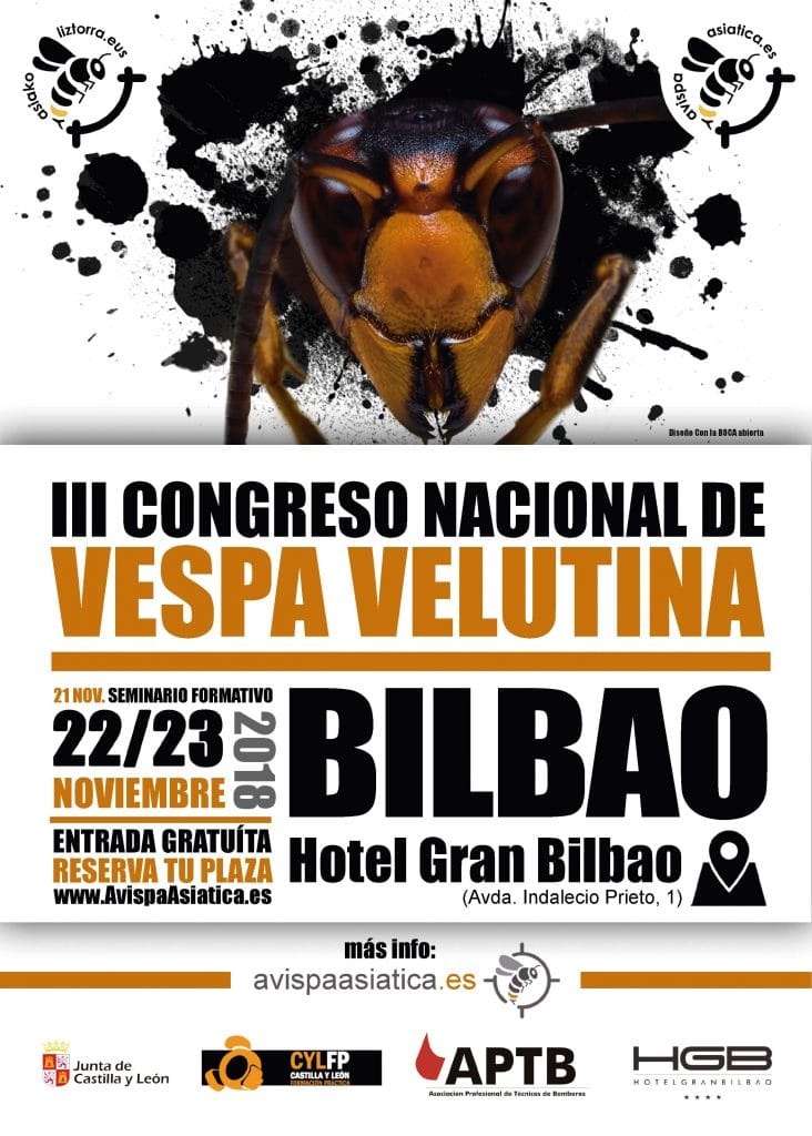 Congreso avispa asiática