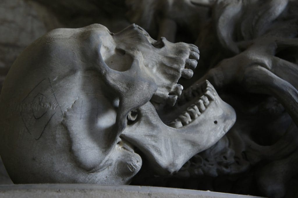 Un cazador de 5.000 años primera víctima de la peste