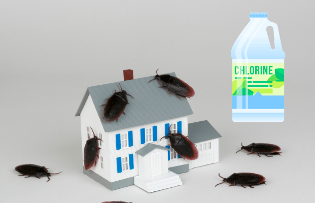 ¿Es el cloro un insecticida eficaz contra las cucarachas?