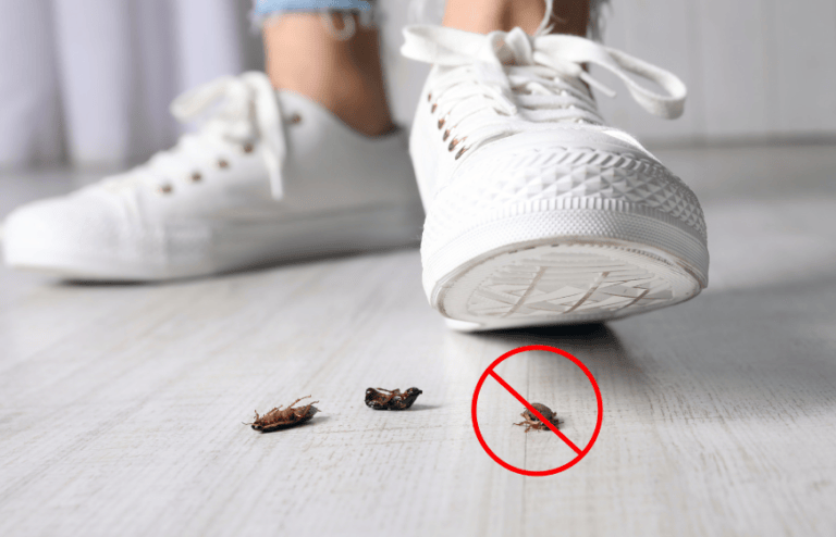 ¿Por qué no debes pisar las cucarachas?