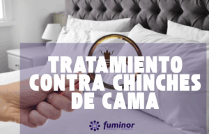 Tratamiento contra Chinches de Cama