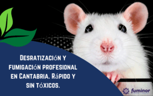 Desratización y fumigación profesional en Cantabria. Rápido y sin tóxicos.