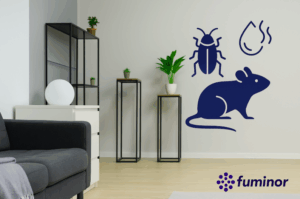 Señales tempranas de que tu vivienda puede estar desarrollando una plaga