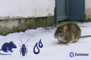 plagas resisten el invierno