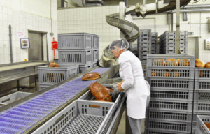 Control de plagas en la industria alimentaria en el País Vasco