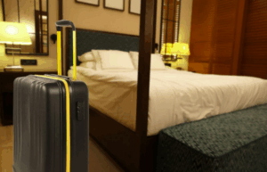 Plagas más comunes en hoteles del País Vasco