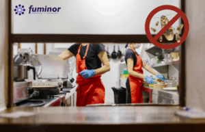 Cómo Eliminar Cucarachas en Restaurantes de Bilbao