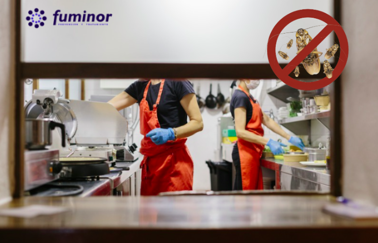 Cómo Eliminar Cucarachas en Restaurantes de Bilbao